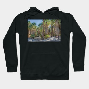 Indian Canyons California Hoodie